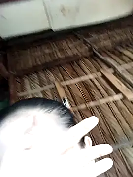 Lin-kute98 online show from February 2026 12:58:02 AM