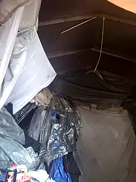 Elieli2424eli online show from February 2026 05:17:02 PM