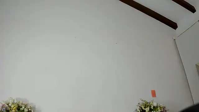 IsaSantoDomingo online show from January 2026 10:57:02 PM