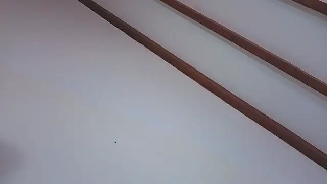 IsaSantoDomingo online show from February 2026 09:52:01 PM