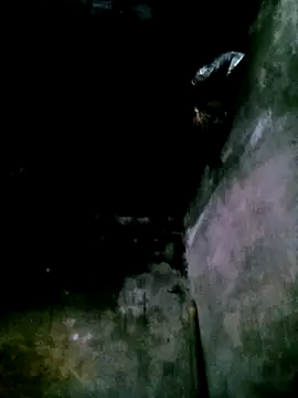 Snapshot of mumu661 chatting on February 2026 05:05:01 AM mumu661 online show from February 2026 05:05:01 AM