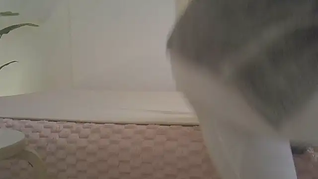 Snapshot of kyono-iyashi chatting on March 2026 02:43:01 PM kyono-iyashi online show from March 2026 02:43:01 PM