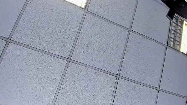 Alyssa Noah online show from April 2026 02:51:02 AM