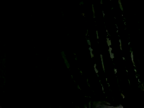 Quinn 05 online show from February 2026 05:38:01 PM