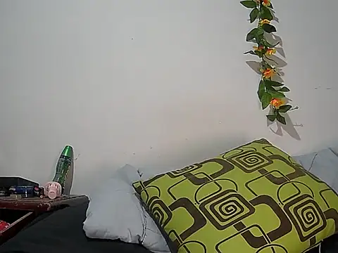 2 milo verus 4 online show from February 2026 11:31:02 PM