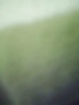 Snapshot of HKOOOH80 chatting on November 2025 11:40:01 PM HKOOOH80 online show from November 2025 11:40:01 PM