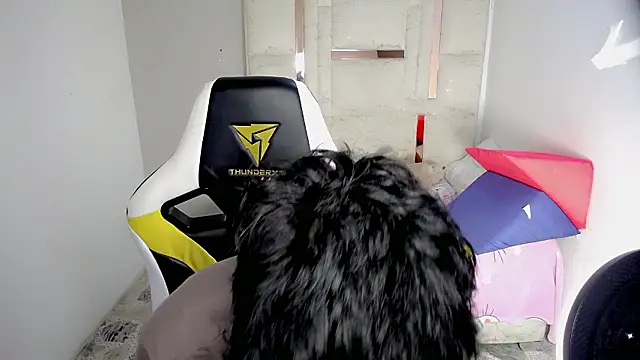 Green XoX online show from January 2026 01:37:02 PM