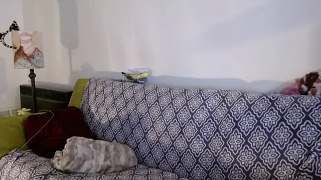 Snapshot of DeliaBlew chatting on December 2025 03:10:01 PM DeliaBlew online show from December 2025 03:10:01 PM