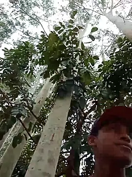 Snapshot of Negok1ng17cm chatting on December 2025 02:45:02 PM Negok1ng17cm online show from December 2025 02:45:02 PM