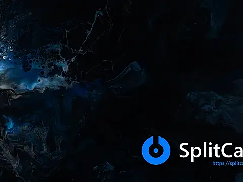 MisNicol online show from February 2026 12:14:02 AM