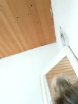 Snapshot of Milas_Dreams_OF chatting on December 2025 08:40:02 AM Milas Dreams OF online show from December 2025 08:40:02 AM