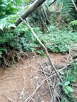 ava-dellght online show from January 2026 02:38:01 AM