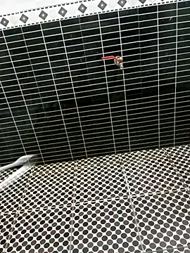 lux-angel online show from March 2026 01:55:01 PM