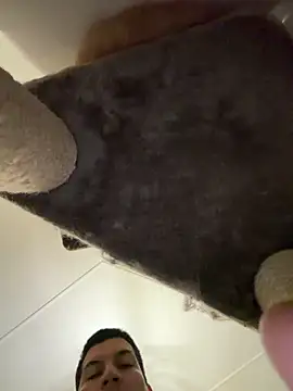 CharlyAlfa22 online show from February 2026 12:03:01 AM