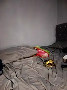 Snapshot of Vaness_hot chatting on February 2026 07:21:01 PM Vaness hot online show from February 2026 07:21:01 PM