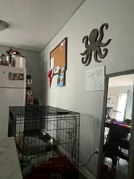 Snapshot of alluringpixie chatting on March 2026 02:09:02 PM alluringpixie online show from March 2026 02:09:02 PM