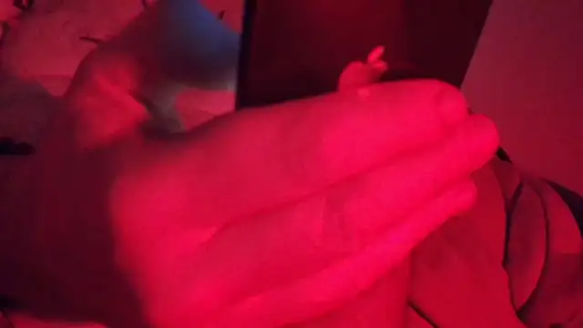 SubTotal  online show from February 2026 04:38:01 AM