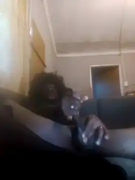 Faysbaakop3 online show from February 2026 04:16:02 AM