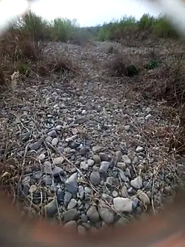 Shank599 online show from March 2026 06:35:02 AM