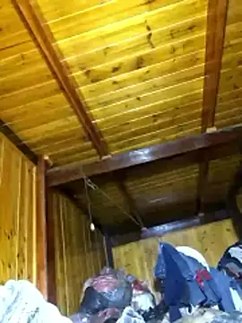 neko-nancy online show from March 2026 01:01:01 AM