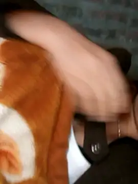 Snapshot of yana-zz chatting on March 2026 12:41:02 AM yana-zz online show from March 2026 12:41:02 AM