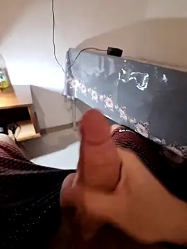 Berk 3113 online show from February 2026 11:49:02 PM