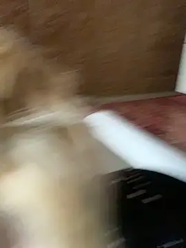 Snapshot of Barbika19 chatting on March 2026 08:18:01 AM Barbika19 online show from March 2026 08:18:01 AM