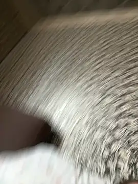 Snapshot of Barbika19 chatting on March 2026 10:59:02 AM Barbika19 online show from March 2026 10:59:02 AM