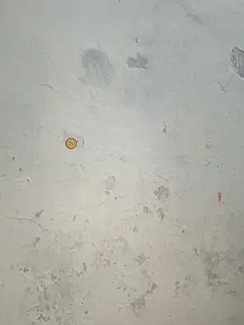 Lovely priya1001 online show from February 2026 10:36:02 AM