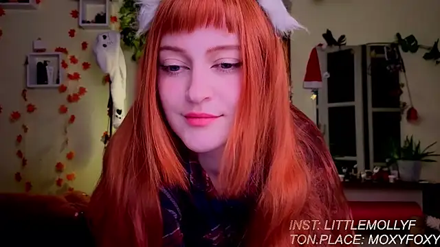 Snapshot of LittleFoxHole chatting on March 2026 01:51:01 AM LittleFoxHole online show from March 2026 01:51:01 AM