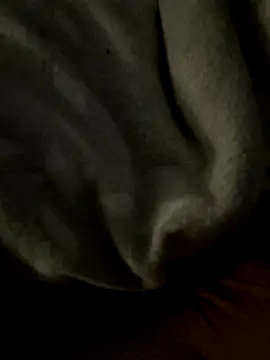 kb20sss online show from December 2025 12:27:01 AM