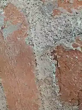 Snapshot of Soniya5533 chatting on December 2025 09:03:01 AM Soniya5533 online show from December 2025 09:03:01 AM