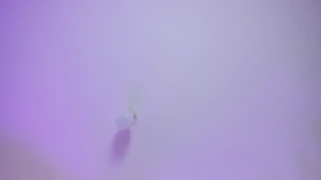 Morgan Lux online show from February 2026 12:11:01 PM