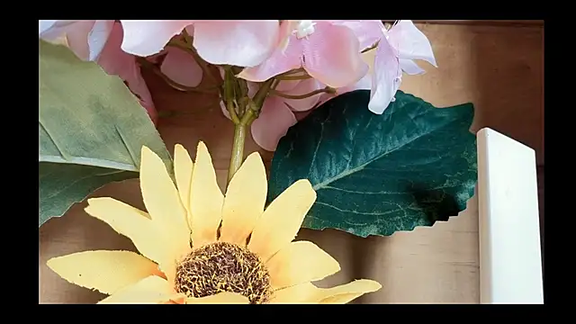 vickvalencia2 online show from May 2026 01:40:01 PM