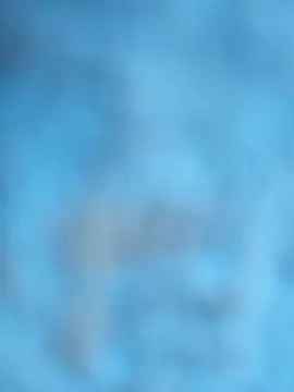 layanehot online show from December 2025 06:26:01 PM