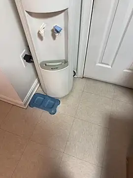 tigre6911 online show from December 2025 09:36:02 AM