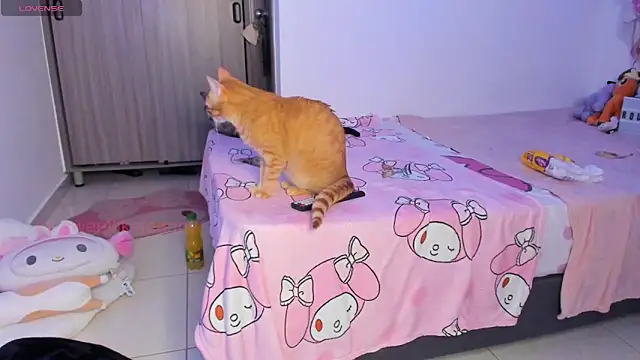 ammierouge online show from February 2026 03:10:01 AM