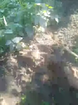 Priyankopal online show from December 2025 08:34:02 AM