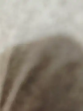 Snapshot of Indian_groupxxx chatting on December 2025 04:56:01 PM Indian groupxxx online show from December 2025 04:56:01 PM