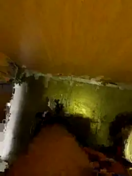 Snapshot of Thilandex chatting on December 2025 01:56:02 AM Thilandex online show from December 2025 01:56:02 AM