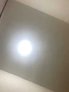 roger rabiit online show from December 2025 01:12:02 AM