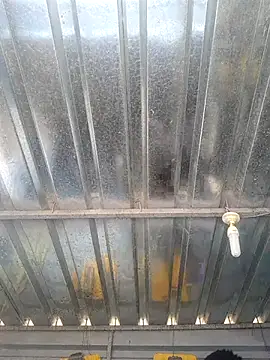 Snapshot of biggy_mash chatting on December 2025 10:32:02 AM biggy mash online show from December 2025 10:32:02 AM