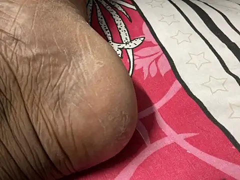 delhi real bull online show from December 2025 04:24:01 PM