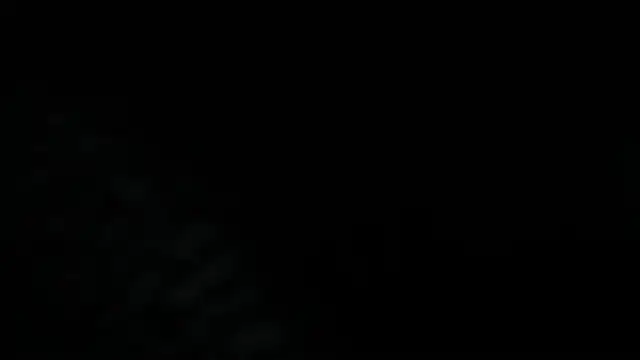 Dante Bellini online show from June 2026 02:55:01 PM