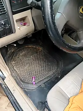 Snapshot of PIGHIGHDIRTY_p0 chatting on February 2026 09:04:01 PM PIGHIGHDIRTY p0 online show from February 2026 09:04:01 PM