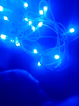 bongtools online show from December 2025 06:26:02 PM