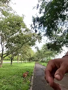 Maicol xxxx online show from March 2026 02:01:01 PM