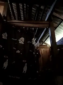 Money moneylove online show from December 2025 03:37:02 AM