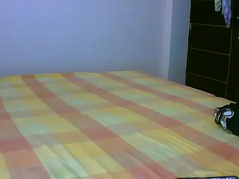 Punjab kudi online show from February 2026 04:16:01 AM