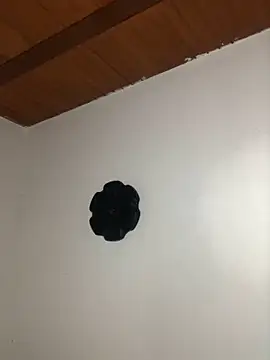 seth c online show from March 2026 06:11:01 PM